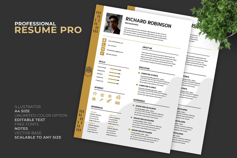 Creative Resume / CV Template Pro