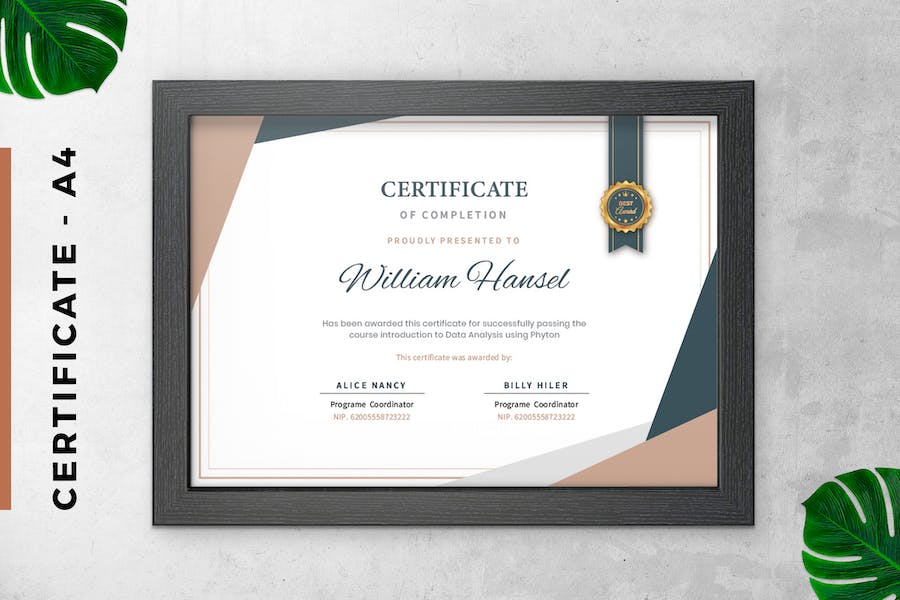 Simple Modern Certificate / Diploma Template