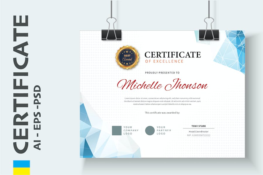 Professional Certificate / Diploma Template