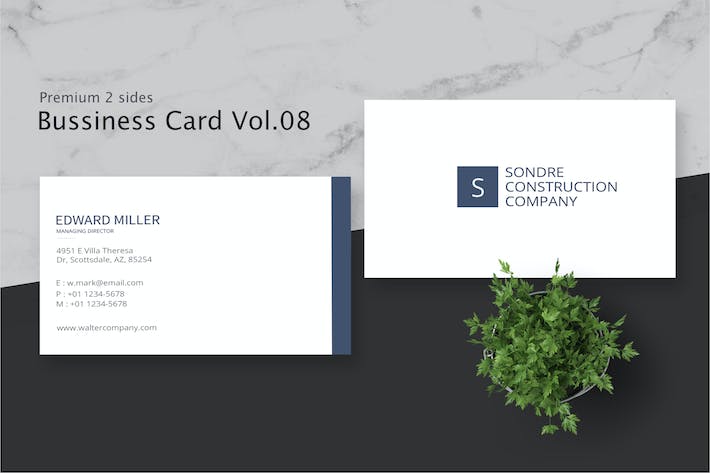 Business Card Pro V.008