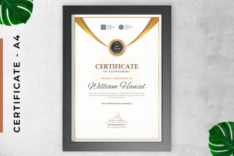Certificate / Diploma Vintage Classic Gold