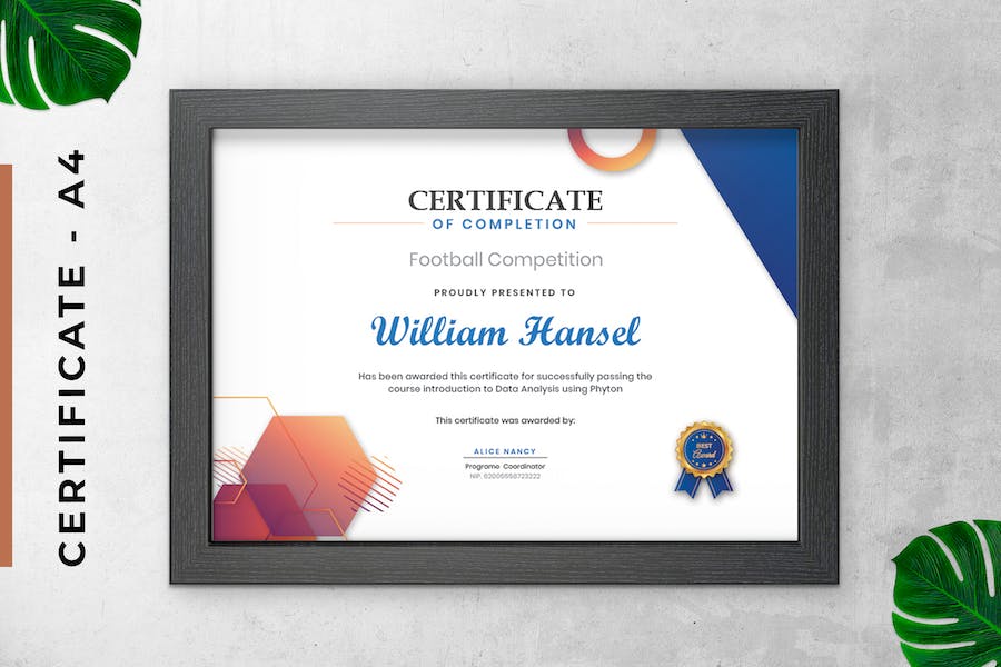 Simple Professional Certificate / Diploma Template
