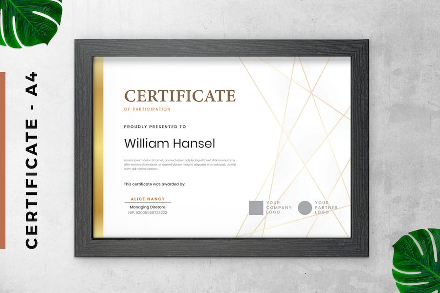Gold Triangle Certificate / Diploma Template