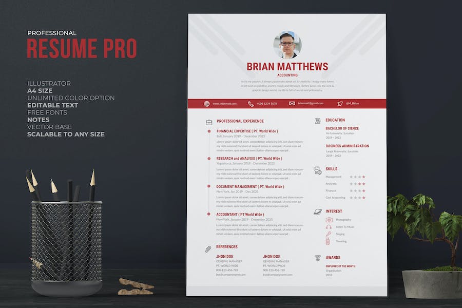 Clean Resume / CV Pro With Red Accent