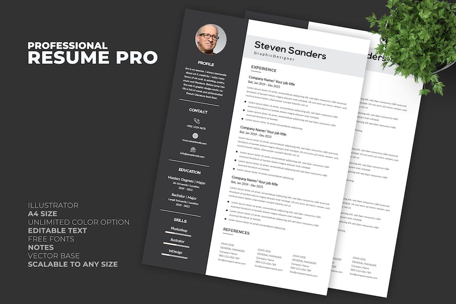 Resume / CV Template Pro