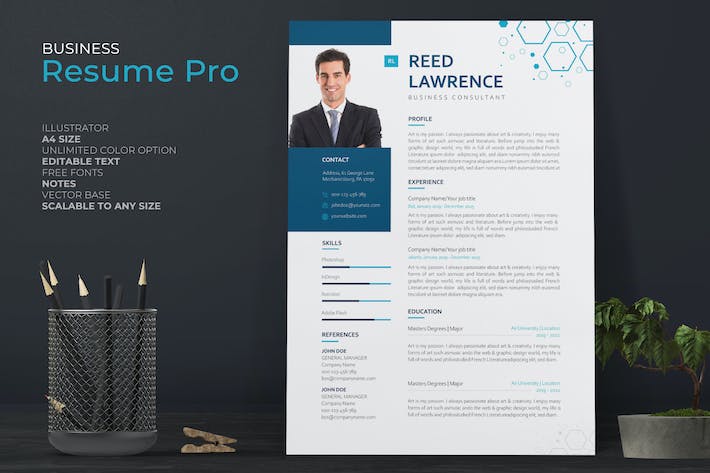 Business Consultant Resume Pro With Blue Accent