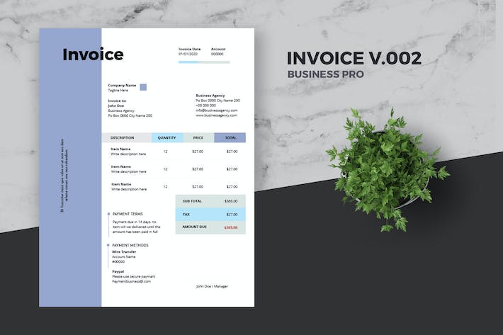 Clean Invoice Template Pro v.002