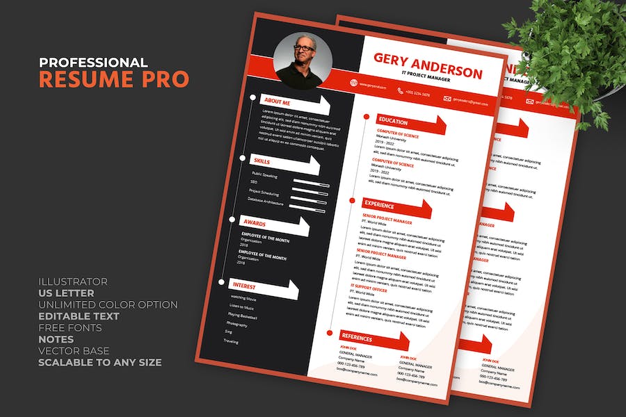 Manager Resume / CV Template Pro