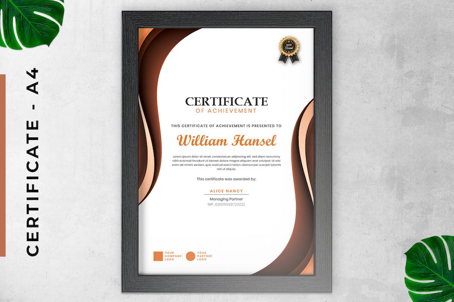 Certificate / Diploma Modern Classic