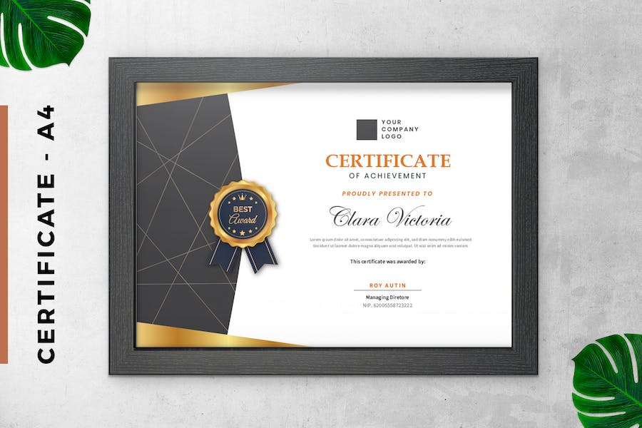 Classic Gold Certificate / Diploma Template