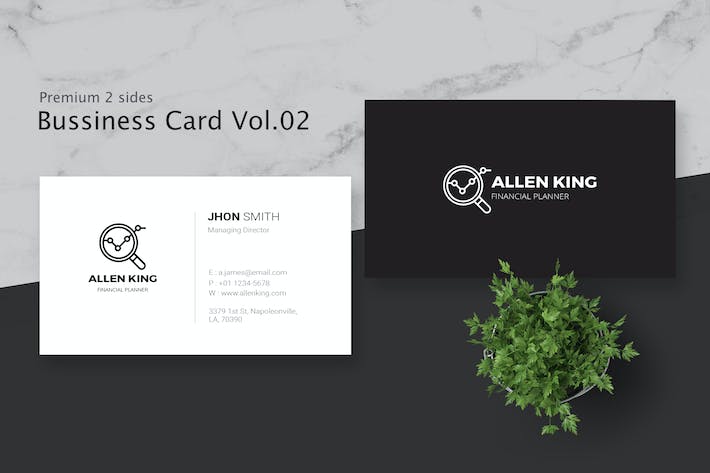 Business Card Pro V.002