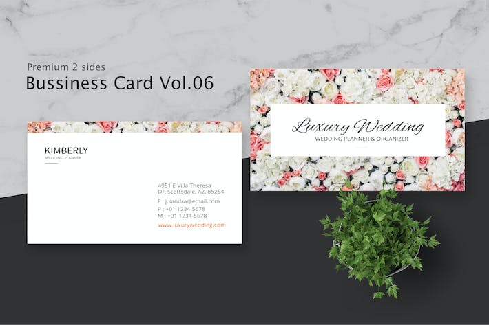 Business Card Pro V.006