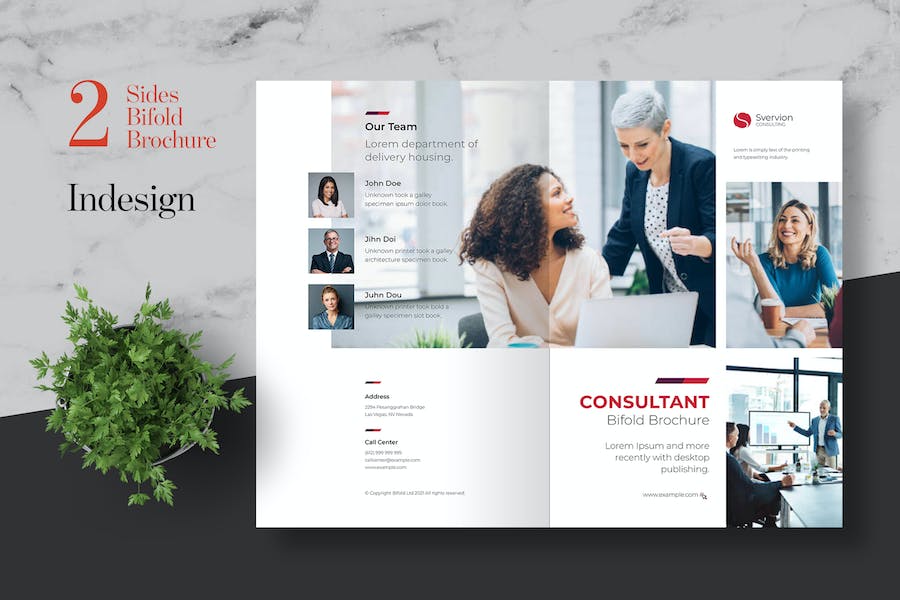 Clean Consulting Bifold Brochure