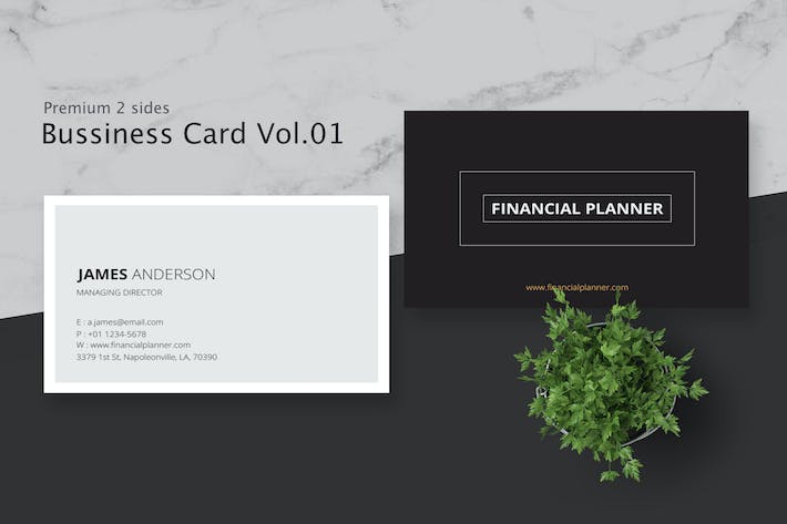 Business Card Pro V.001