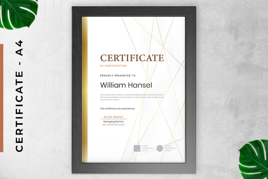 Certificate / Diploma Gold Triangle Portrait