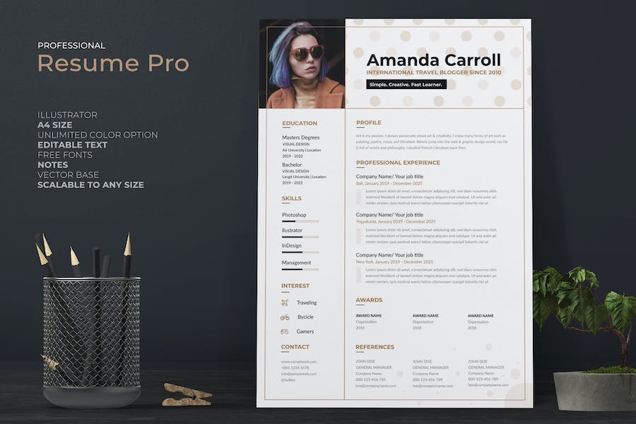Creative CV / Resume Pro
