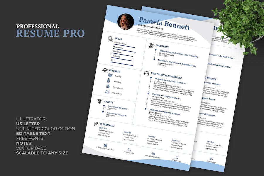 Blue Resume / CV Template Pro