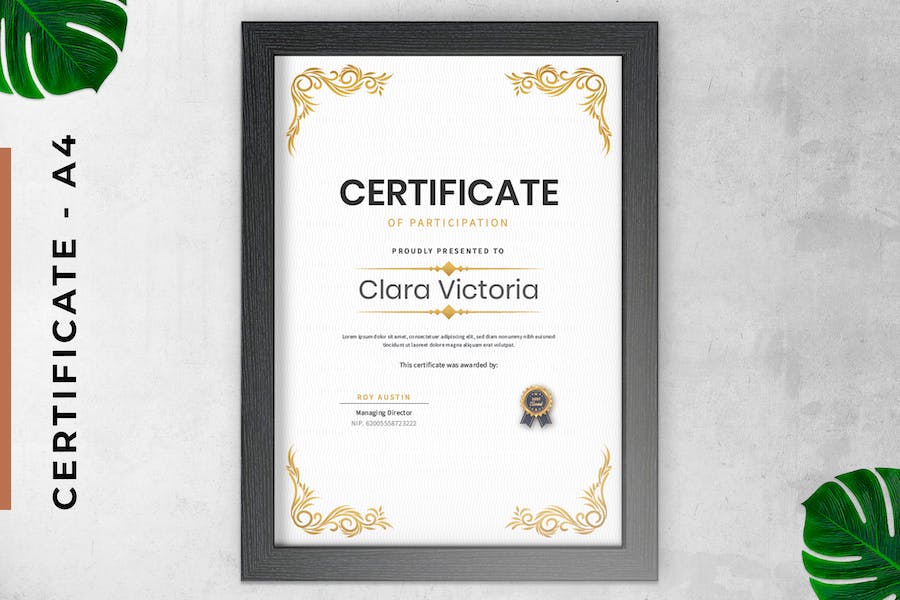 Certificate / Diploma Classic Gold Vintage