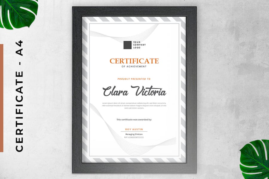 Certificate / Diploma Simple & Clean