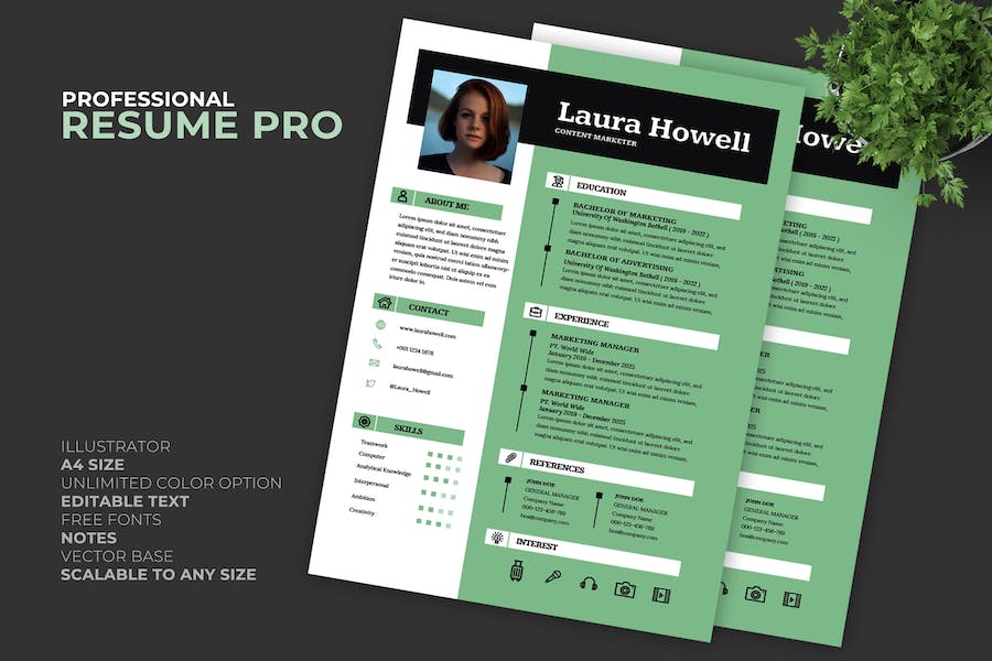 Laura Resume / CV Template Pro