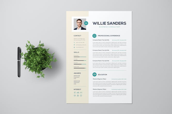 Clean Business Consultant Resume Pro