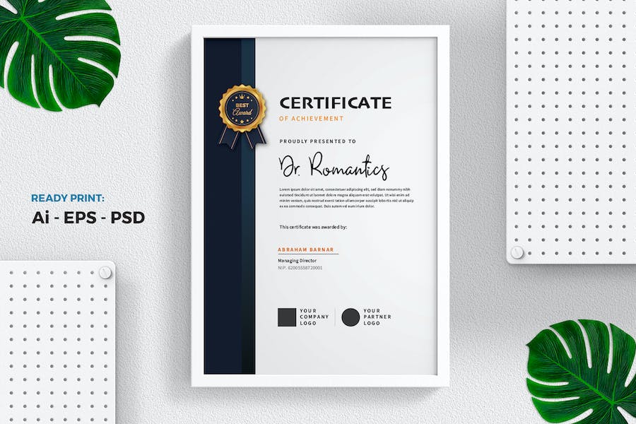 Professional Certificate / Diploma Template