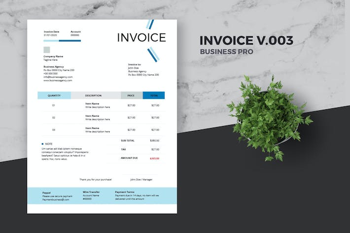 Clean Invoice Template Pro v.003
