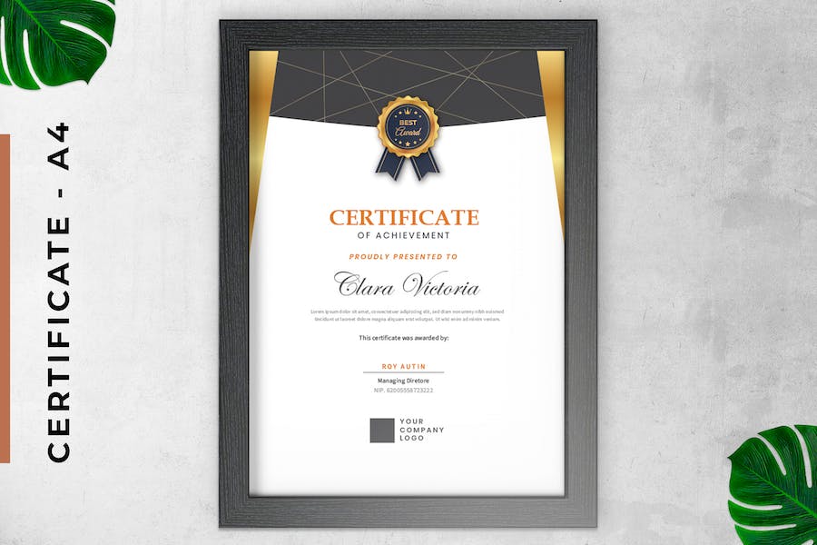 Classic Gold Certificate / Diploma Template