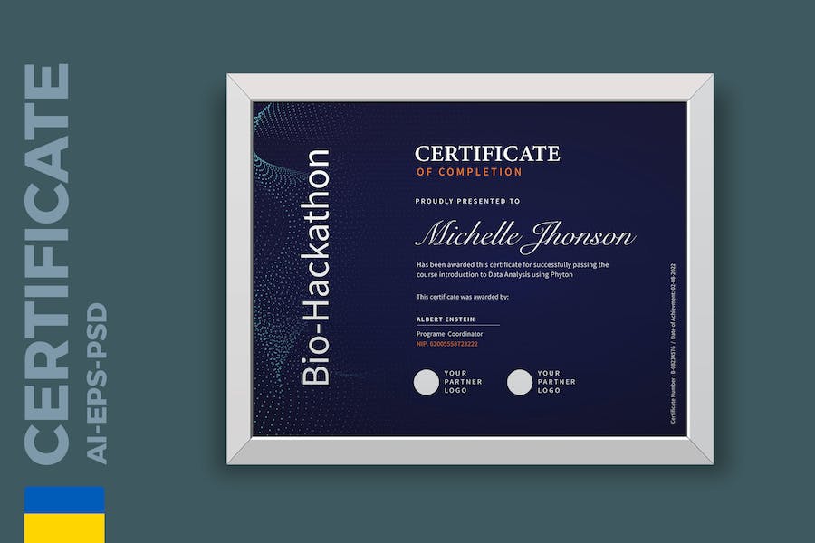 Professional Tech Certificate / Diploma Template